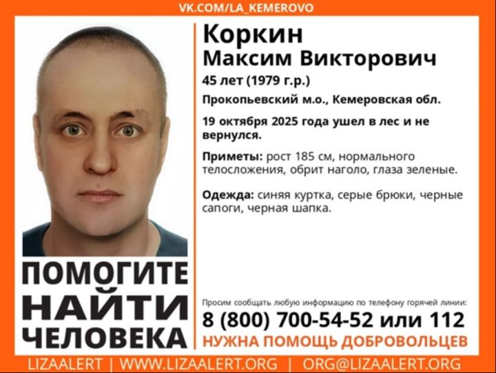 Кузбассовец пропал в лесу