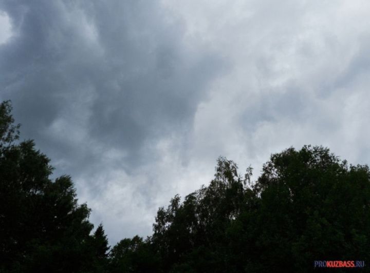 +12 градусов и дождь ожидаются в Кузбассе