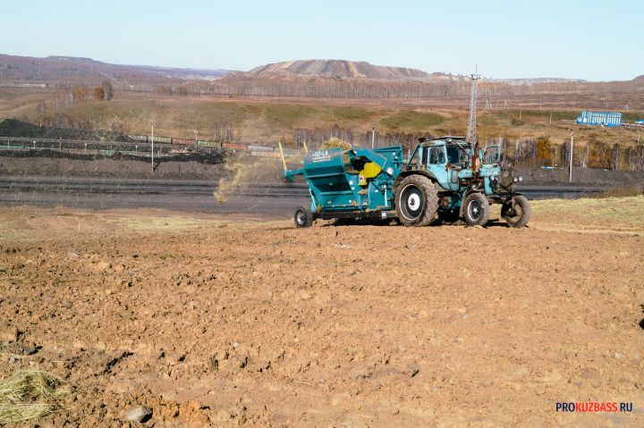 Минсельхоз Кузбасса сообщил о сложностях уборочной кампании из-за погоды