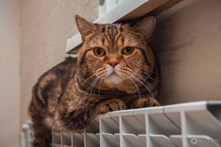 В Кузбассе замерзает целое село