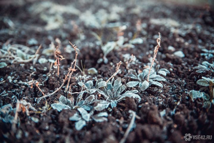 Резкий перепад температур ждет кузбассовцев 26 октября
