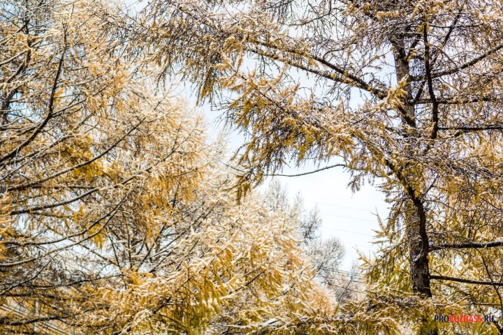 Аномальная зима 2026 принесёт гололёд мокрый снег и резкие перепады