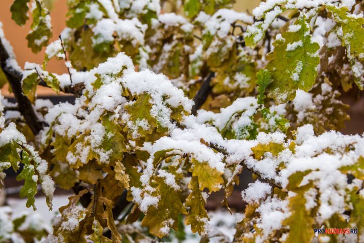 Кузбасс накроет дождём и мокрым снегом