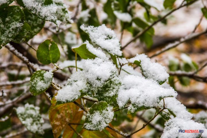 Редкие книги СССР, которые могут стоить миллионы сейчас у вас дома