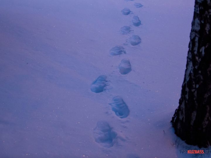 В Кузбассе ожидается резкое похолодание в праздничные дни