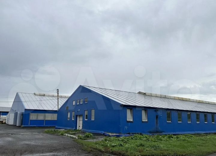 Животноводческий комплекс выставлен на продажу в Кузбассе