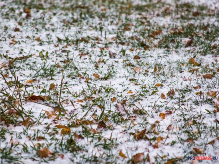 Мокрый снег и сильный ветер ожидаются в Кузбассе
