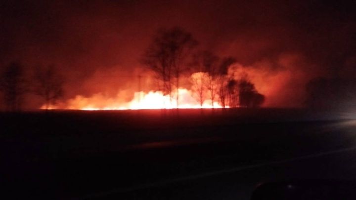 Илья Середюк назвал причину жутких пожаров в Кузбассе