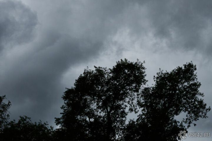 Илья Середюк опубликовал сводку о последствиях бури, прошедшей по Кузбассу 1 ноября