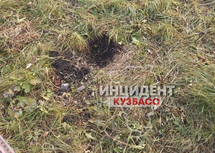 В кузбасском городе неизвестные выкопали деревья, посаженные детьми