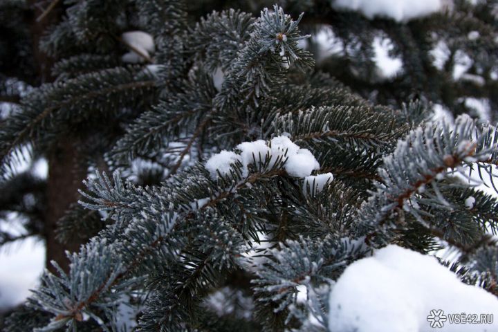 Экстремальные морозы идут в Сибирь и Кузбасс