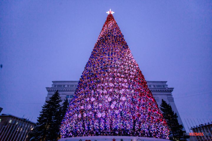 В Новокузнецке началась установка главной новогодней елки на площади торжеств