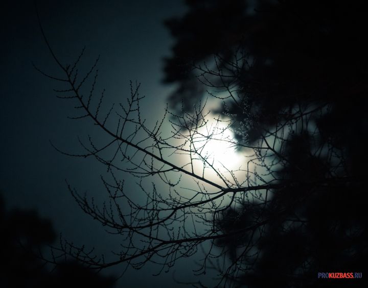 Как суперлуние 5 ноября повлияет на судьбы людей всех зодиакальных стихий