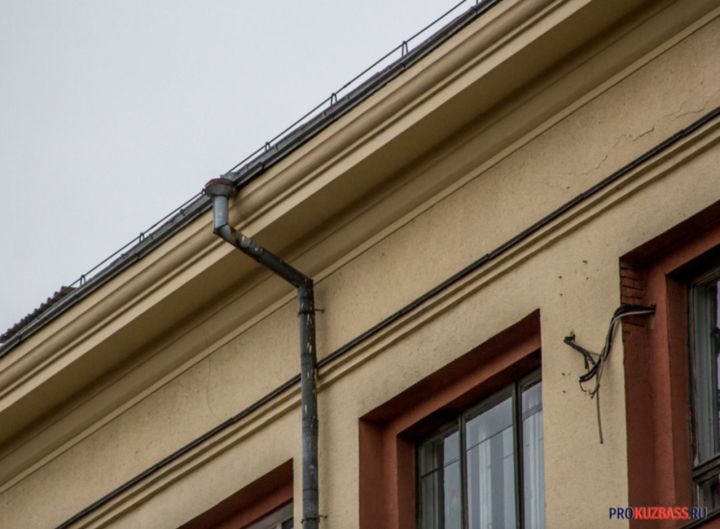 В Белове нашествие мышей