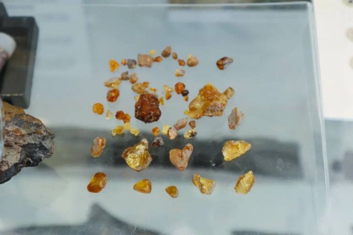 Древнейший в России янтарь обнаружен в Кузбассе