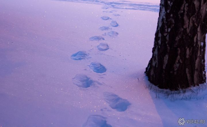 Сильнейший снегопад обрушился Междуреченск