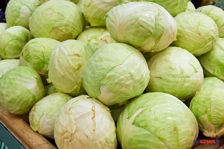 Квашеная капуста снова в моде — чудо для иммунитета или кислый миф?