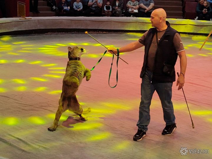 Секреты закулисья: Кемеровский цирк устроил открытую репетицию для кемеровчан