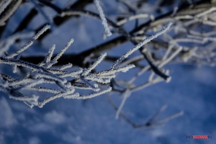 Новокузнечане в мороз остались без света и тепла на целую ночь