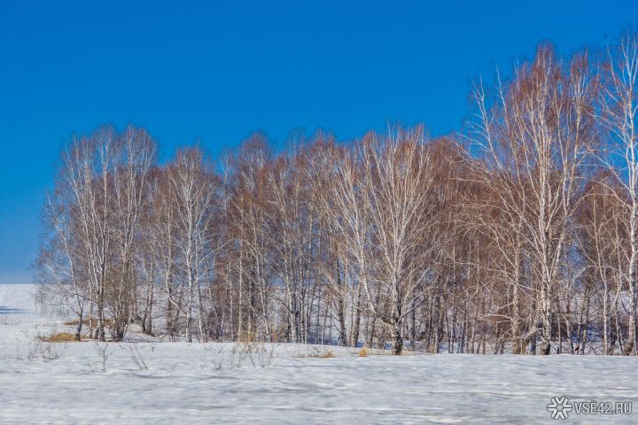 Резкий температурный контраст ждет кузбассовцев в понедельник, 17 ноября