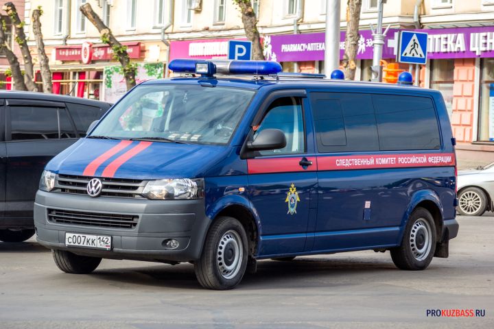 Следком России заинтересовался гибелью младенца в перинатальном центре Кемерова