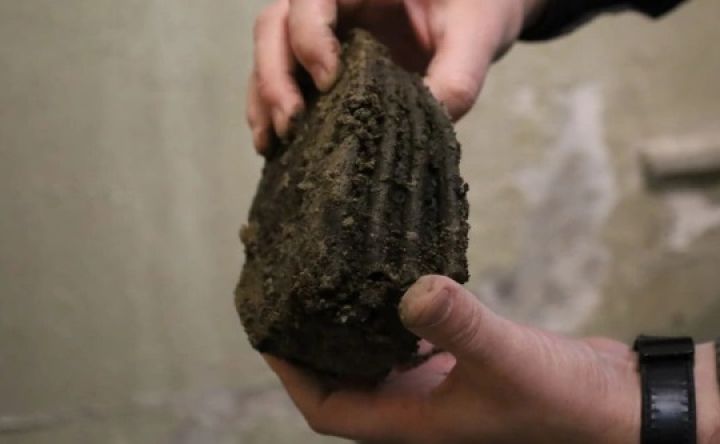 Останки редчайшего доисторического животного нашёл обычный рыбак