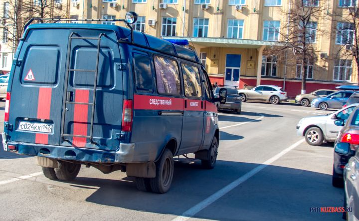 Следком России заинтересовался инцидентом с раздетым на морозе ребенком