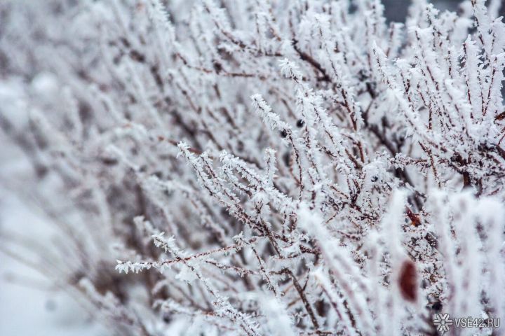 В Кузбассе резко похолодает до –19°C и пройдут сильнейшие снегопады