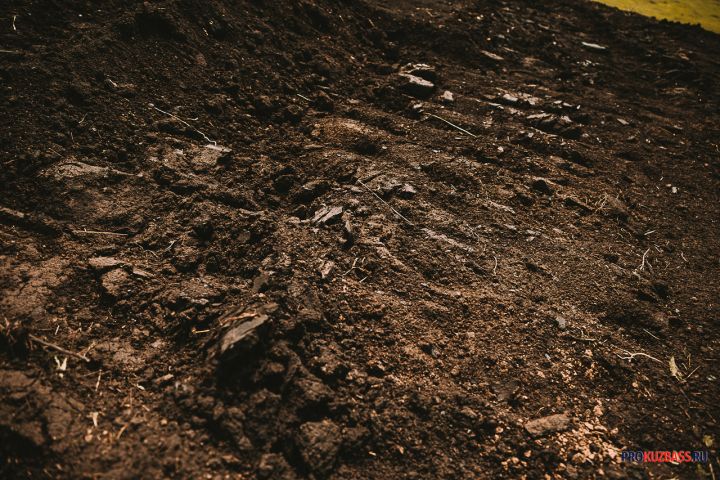 В Венгрии подняли из земли римский саркофаг с нетронутым женщинами