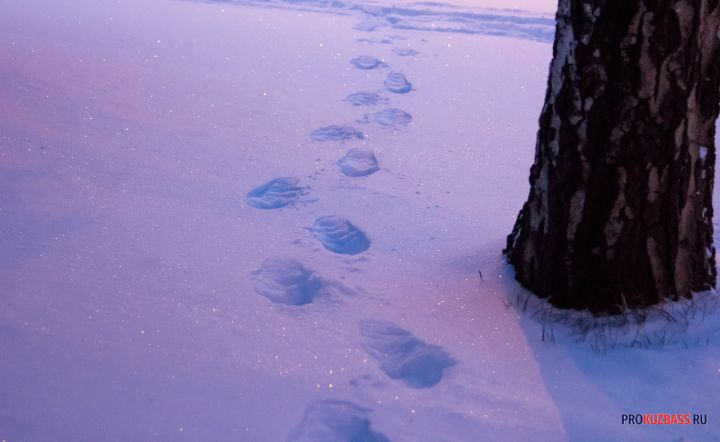 В Новокузнецке ветер скатал редкие снежные рулоны на Ильинке