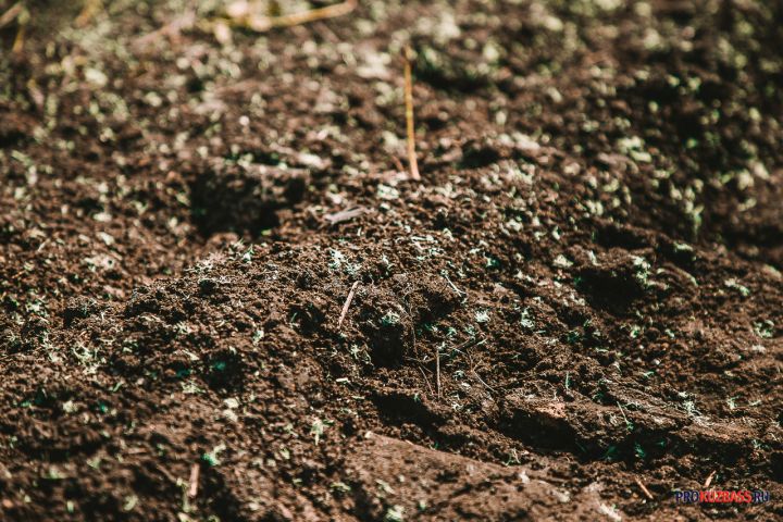 Археологи откопали тайник с золотом и загадочным греческим посланием