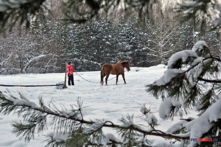 Снег накрыл Кузбасс почти декадной нормой осадков за сутки