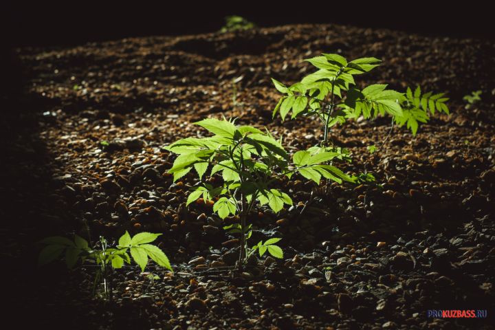 Как математик пересчитал Вселенную и нашел место Земли среди разумных миров