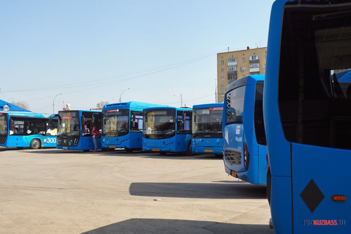 В кузбасском городе возникла острая нехватка водителей