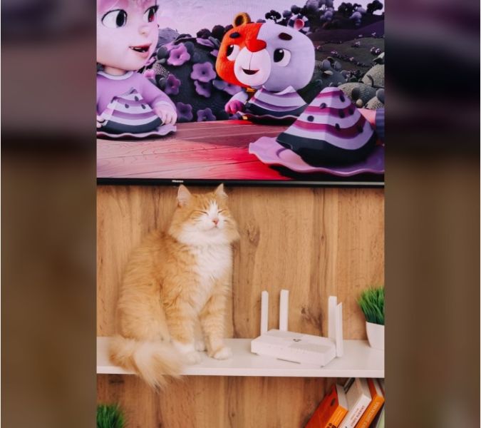 Гигабит — это только полдела: как раскрыть потенциал вашего интернета на максимум