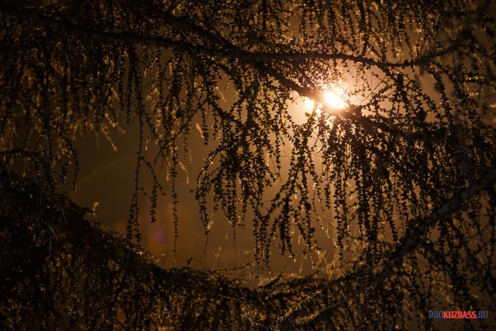 Морозы в Кузбассе будут недолгими и снова сменятся мокрым снегом