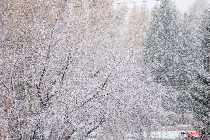 Климатический шок: Россию накроет самая теплая зима за 30 лет