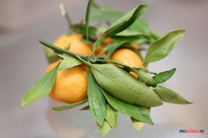 Заливаю корки мандаринов уксусом и забываю про бытовую химию: бюджетный лайфхак для всех хозяек 