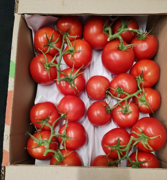 Закупка овощей у Казахстана спасла кузбасские магазины от пустых полок 