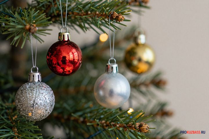 Школьникам Кузбасса утвердили даты зимних каникул