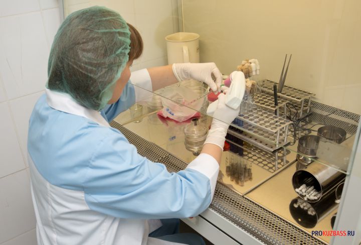 На «Коксе» в Кемерове предотвратили выброс газа при сбое в электроснабжении