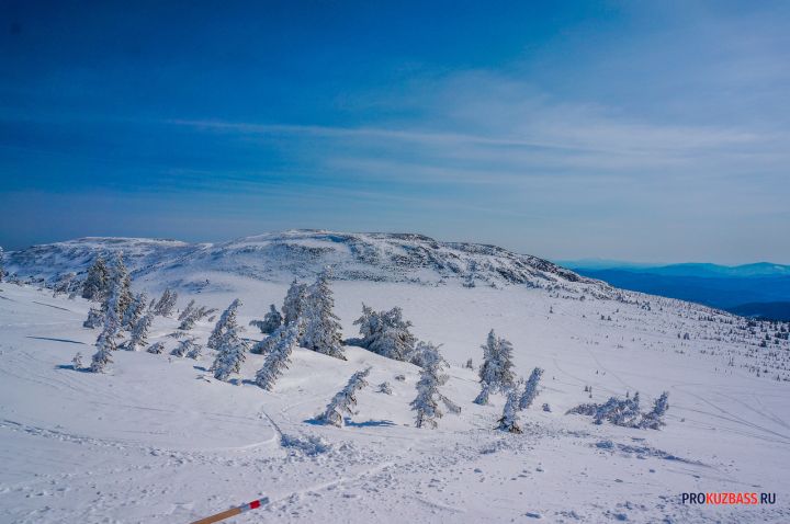 С 2026 года в Шерегеше инструкторов без аккредитации оставят без подъемников