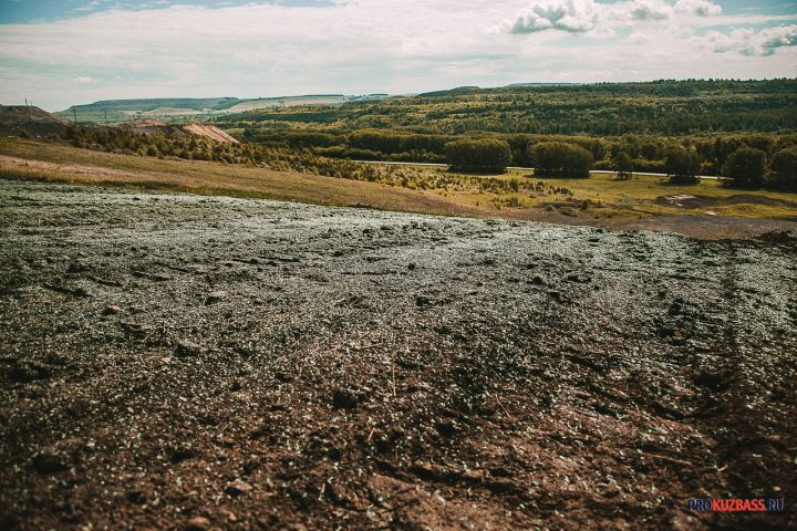 Вы не поверите: зачем инки вырыли 5200 ям на горе и как их использовали