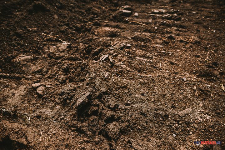 Первые шаги Homo sapiens начались не в саваннах: новые данные археологов