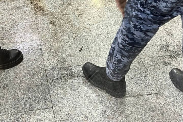 В полиции Кузбасса рассказали, насколько опасен патрон, найденный в Кемеровском цирке