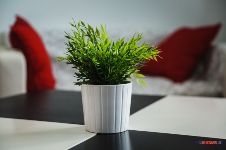 Открытие школы №10 в Кемерове снова отложено после капитального ремонта