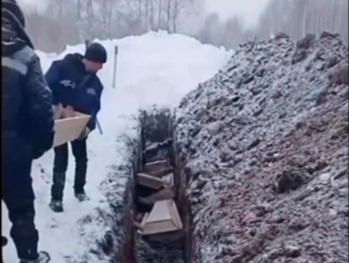 В Прокопьевске голые тела бездомных бросали в общие ямы и закапывали