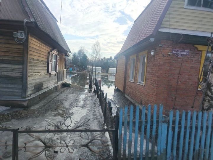 В Новокузнецком районе вода затопила садовые общества