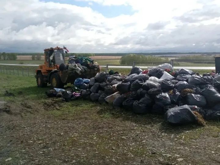 В Кузбассе ликвидируют незаконные свалки: осталось более тридцати
