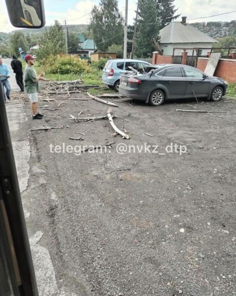 Упавшее дерево пробило стекло иномарки в Новокузнецке